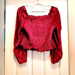 Torrid Velvet Smocked Cropped Top